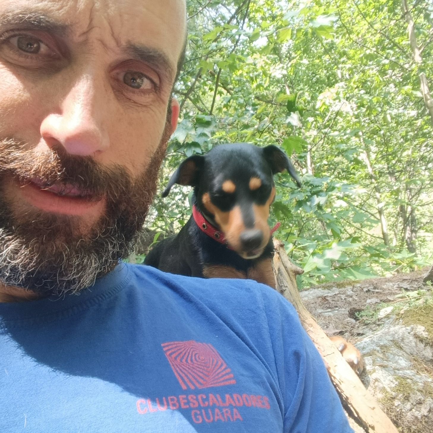 Gonzalo