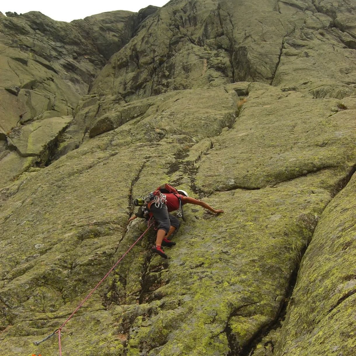 Leti