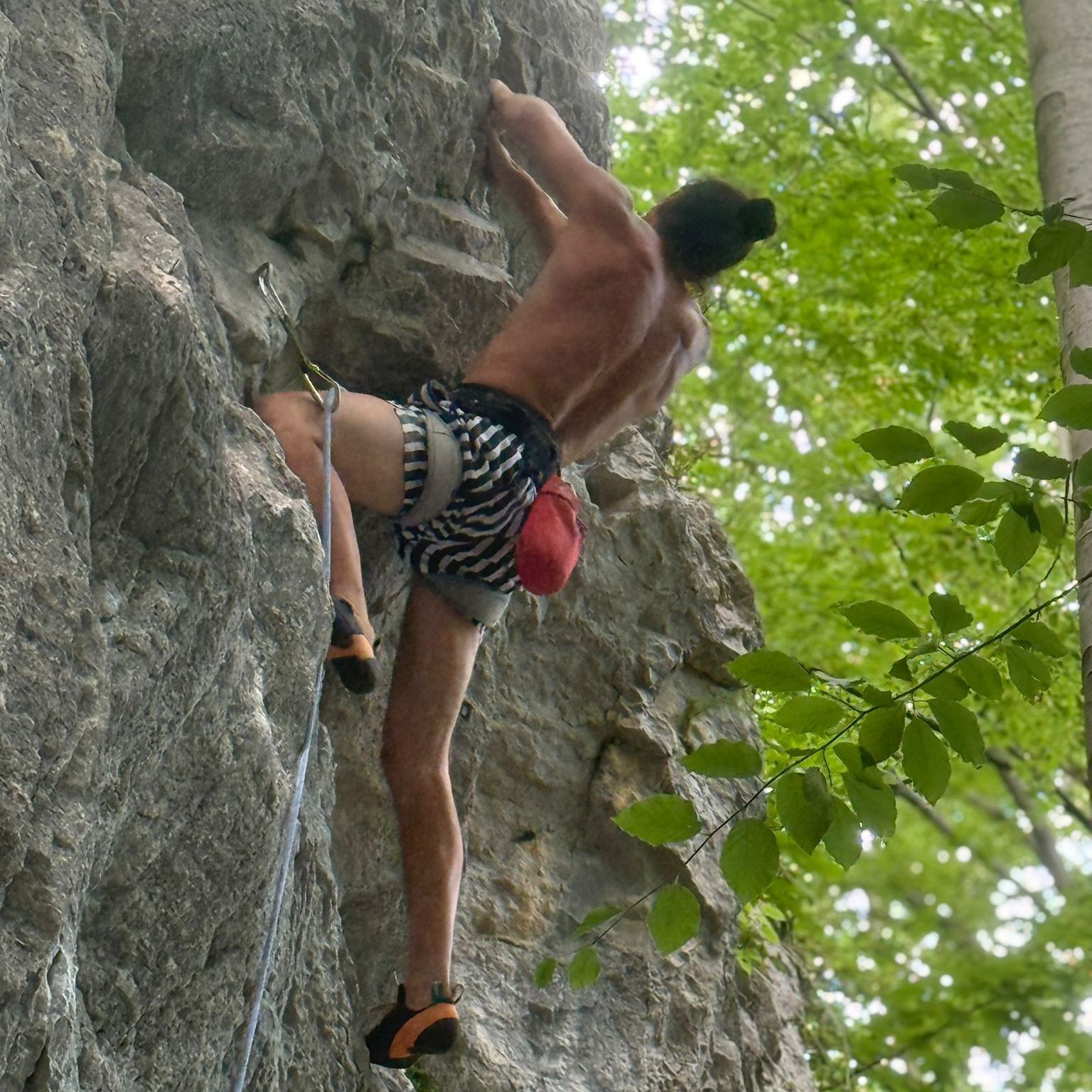 Tomislav
