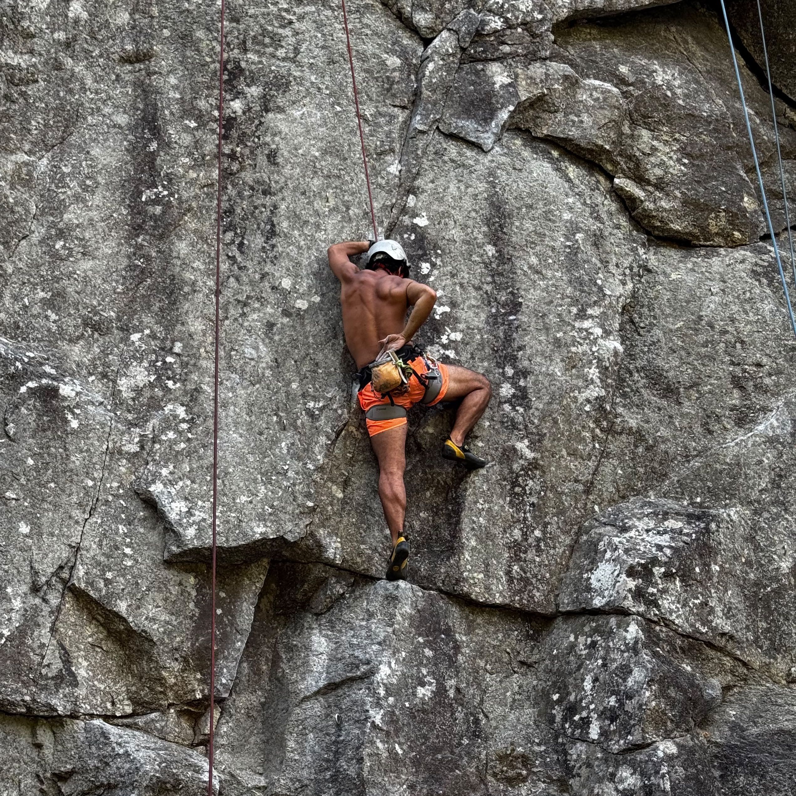 André Freitas
