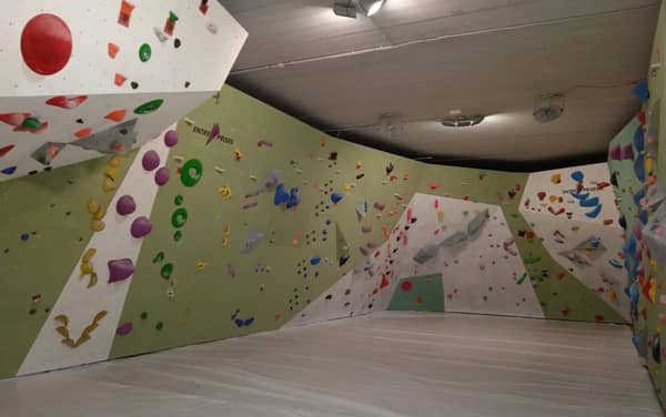Mapache Climbing