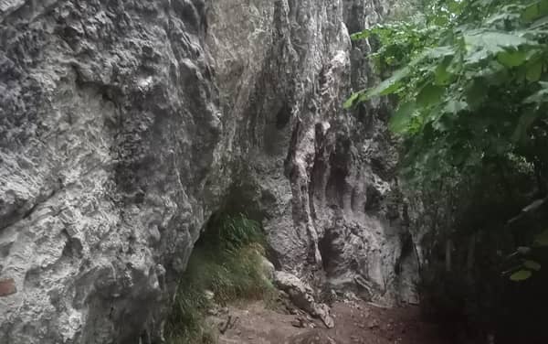Falesia del Picuz