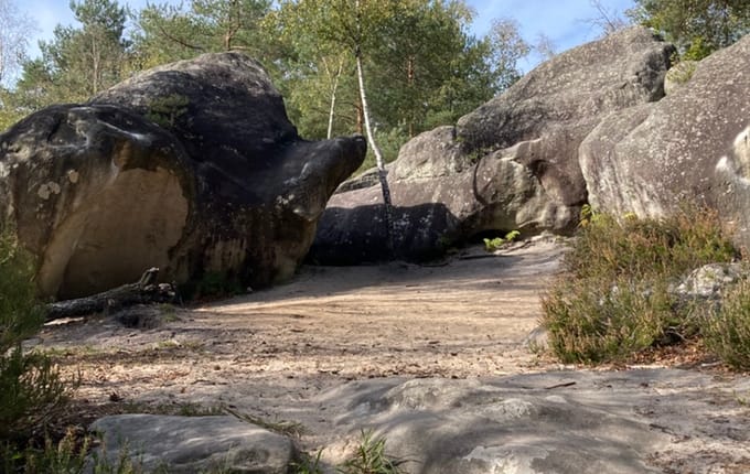 Trip to Fontainebleau