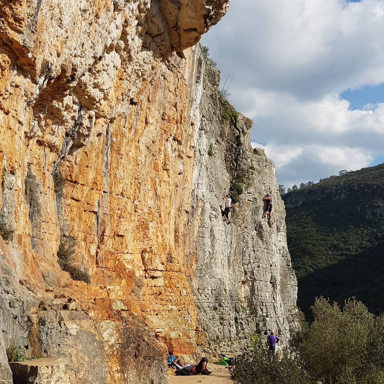 Vale de Poios