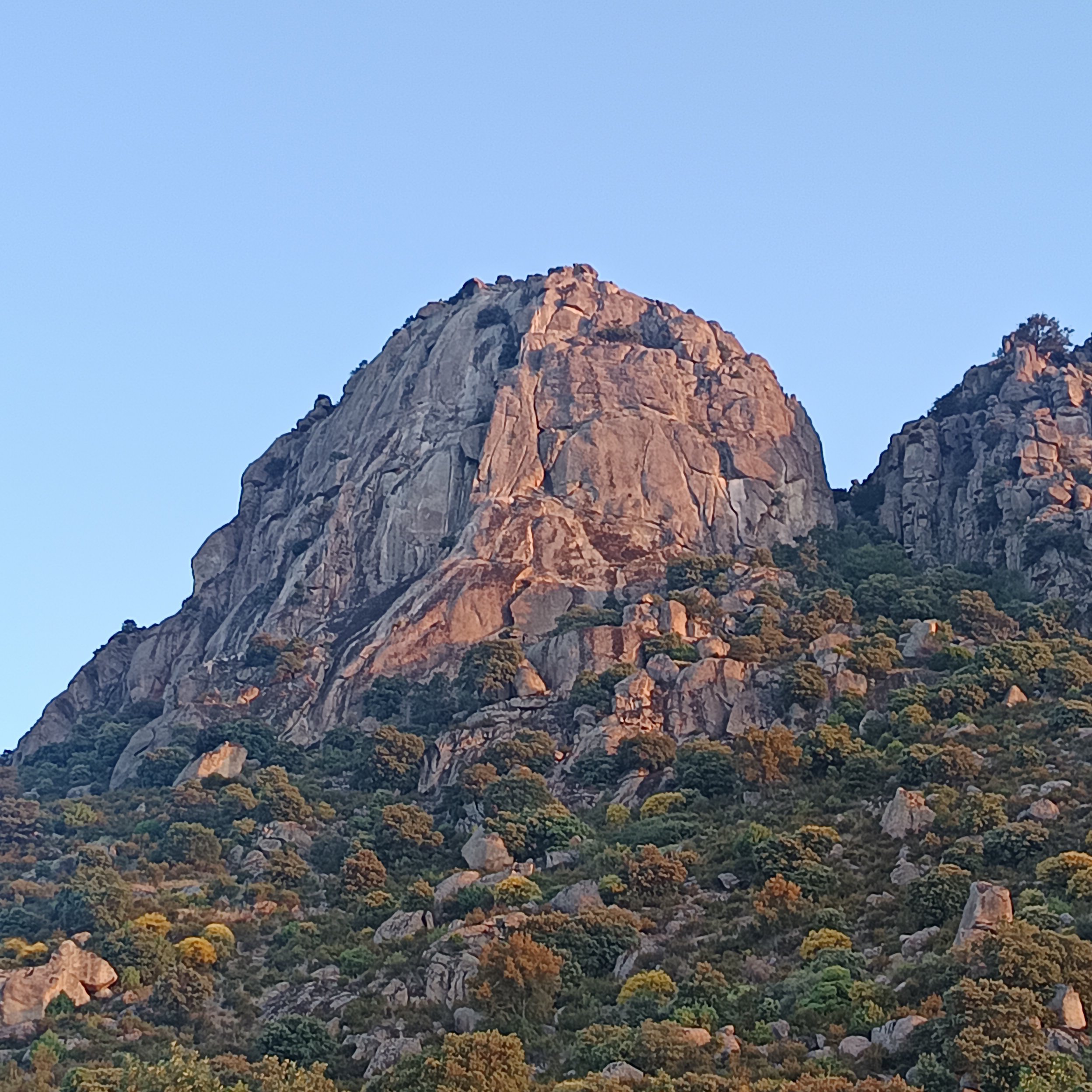 Pico De La Miel