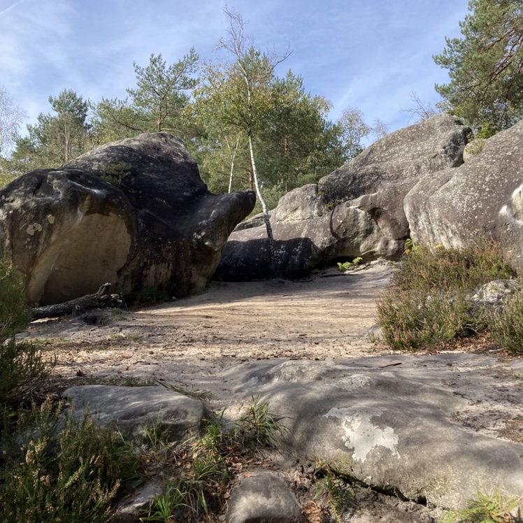 Trip to Fontainebleau