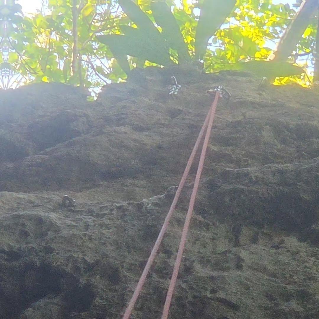 Parque Nacional Julio Enrique Monagas
