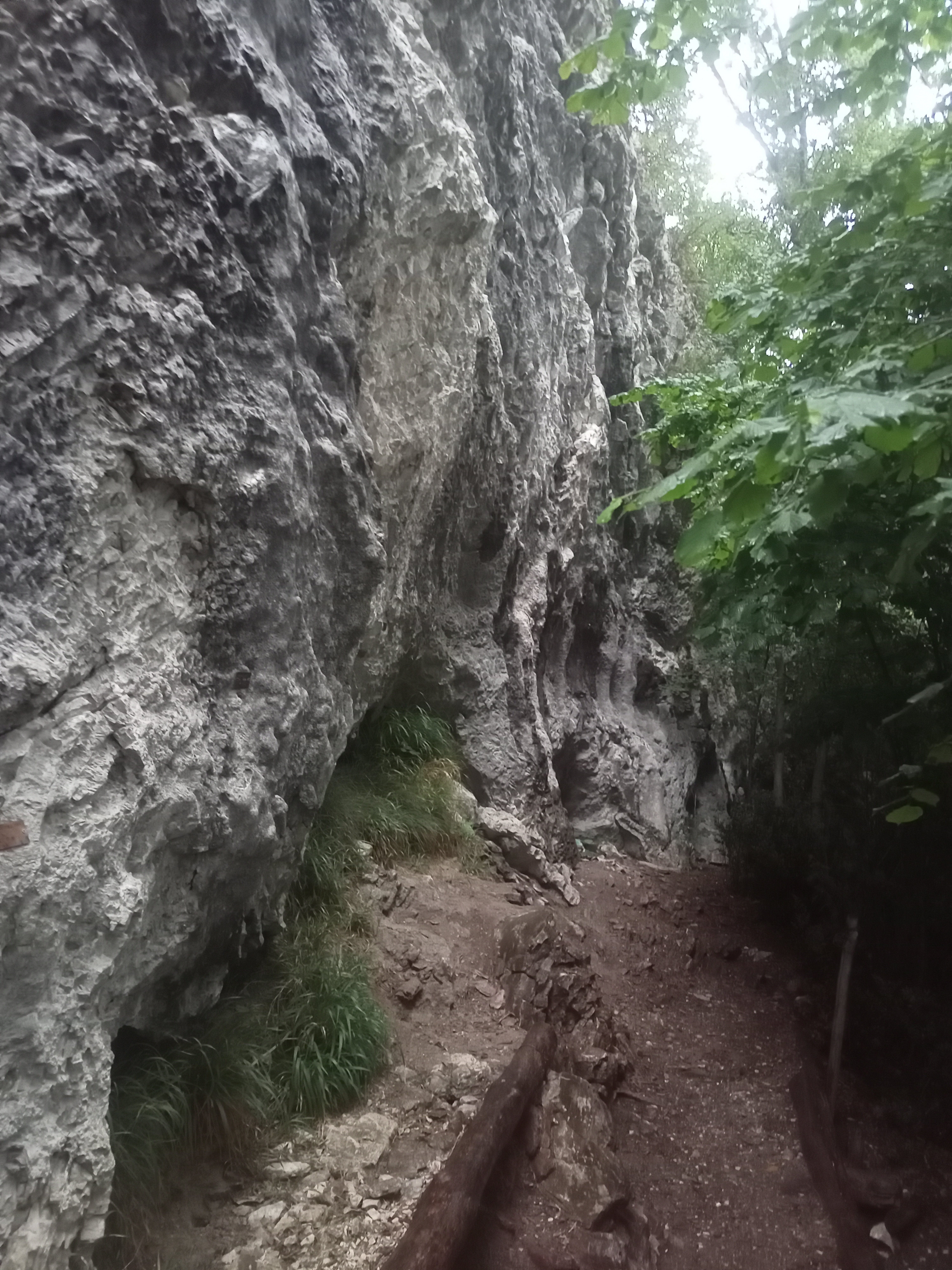Falesia del Picuz